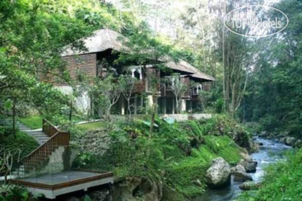 New photos from tourists Maya Ubud Resort 5*