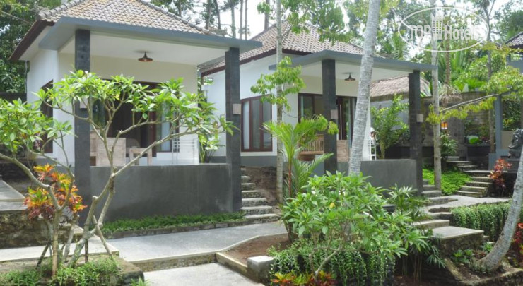 New photos from tourists The Bali Shanti 4*