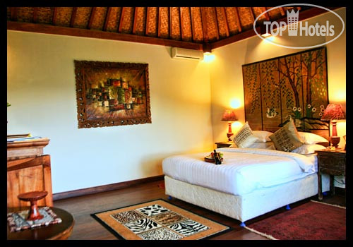 New photos from tourists Villa Sarna 3*