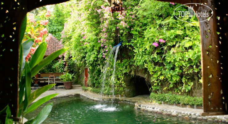 New photos from tourists Shankari's Bali Retreat 2*
