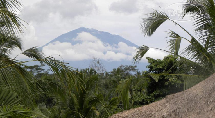 New photos from tourists Saudara Home 3*