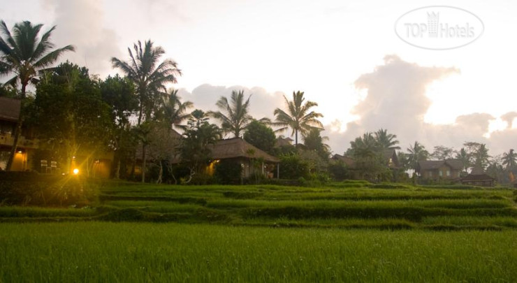New photos from tourists Wapa di Ume Ubud