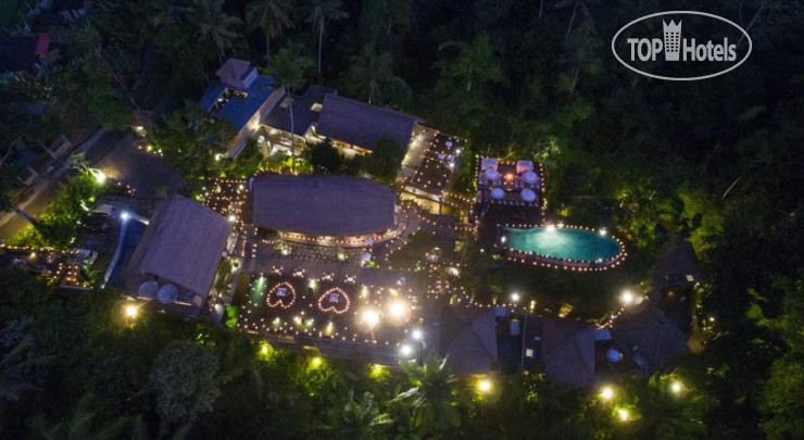 New photos from tourists The Evitel Resort Ubud 4*