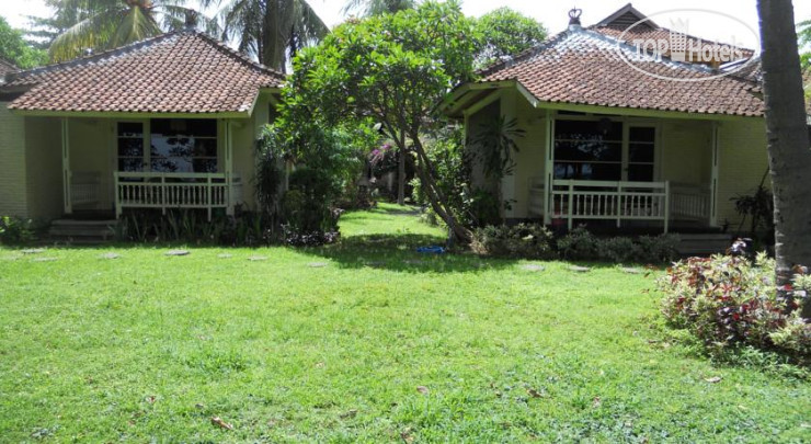 New photos from tourists Bali Lovina Beach Cottage 3*