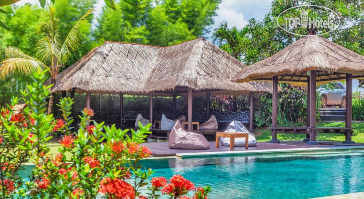 New photos from tourists Endless Summer Surf Camp Bali 2*