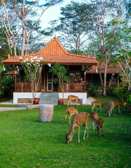 Hotel photo Plataran Menjangan Resort & Spa 5*