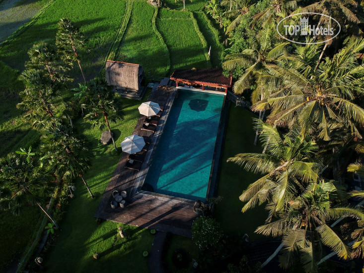 New photos from tourists The Artini Dijiwa Ubud 4*