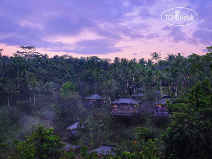 New photos from tourists Capella Ubud