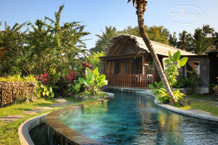 Hotelier's photos Beehouse Dijiwa Ubud 4*