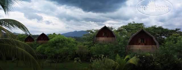 Hotelier's photos Gawana Novus Dive Resort & Spa APT