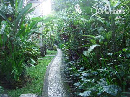 New photos from tourists Sahadewa Resort & Spa 3*