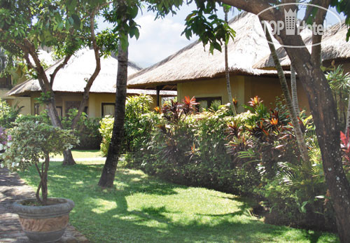 Hotel photo Aneka Lovina 3*