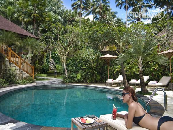 Hotel photo Mason Elephant Lodge 5*