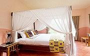New photos from tourists Mara River Safari Lodge 3*