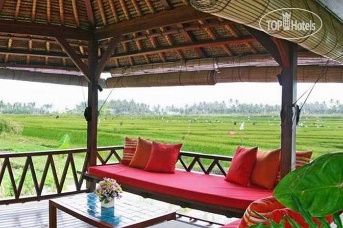 New photos from tourists Villa Tamu Seseh APT