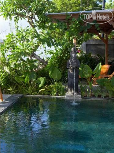New photos from tourists The Hill Villa 3*