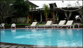 New photos from tourists Panorama Ubud 2*