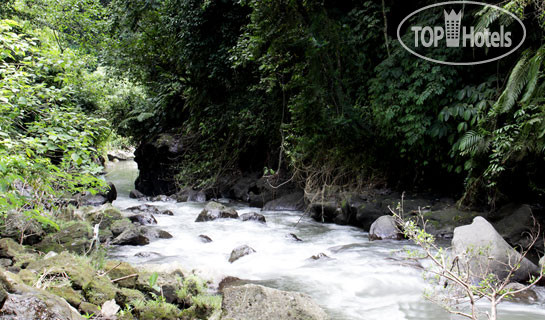 New photos from tourists Tanah Merah Resort & Gallery 5*