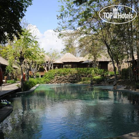 Hotelier's photos The Menjangan 4*