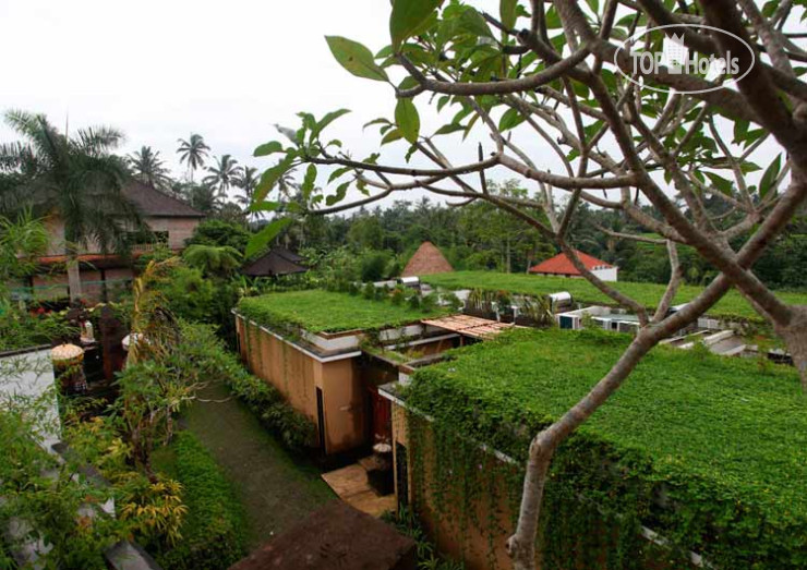 New photos from tourists Ubud Green 5*