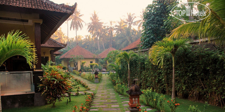 New photos from tourists Arco Iris Resort 3*