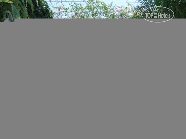 New photos from tourists Villa OM 4*