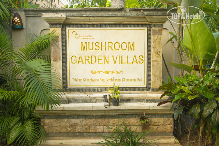Hotel photo Mushroom Garden Villas 3*