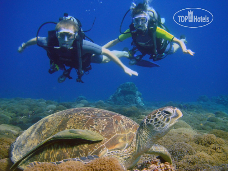 New photos from tourists Gili Villas 4*