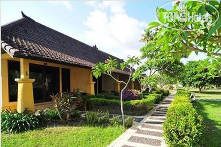 New photos from tourists Aerotel Tastura Lombok 3*
