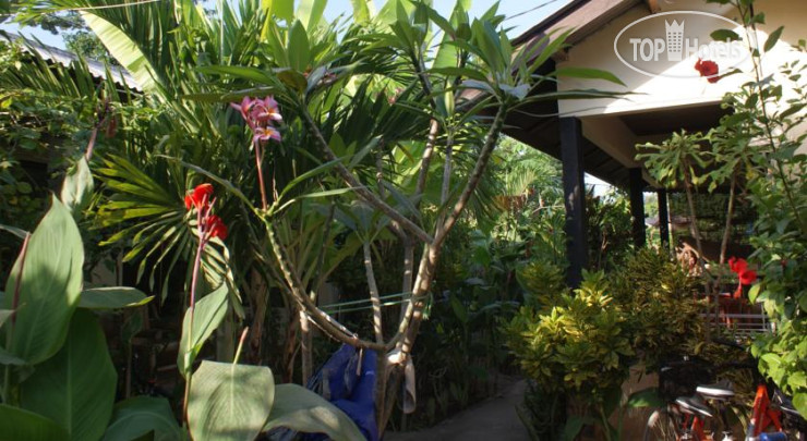 Hotelier's photos Gili Life