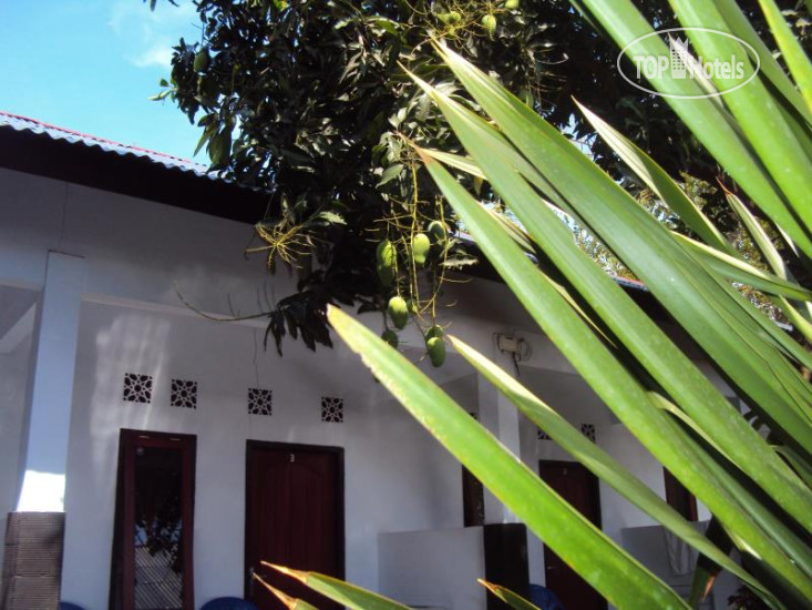 New photos from tourists Banana Leaf 3 Gt