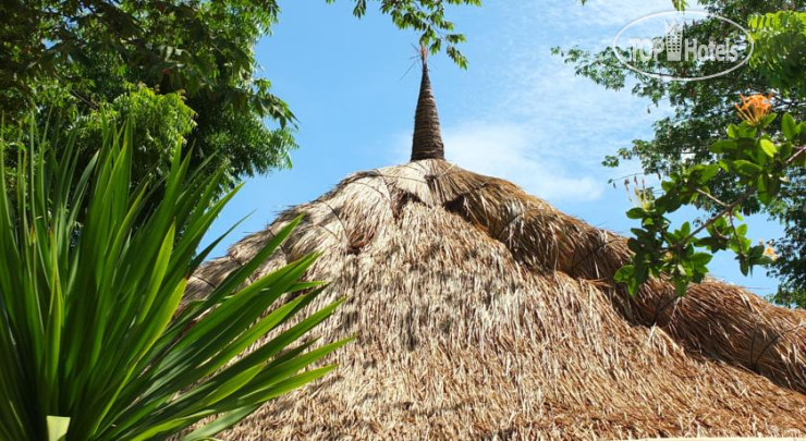 New photos from tourists Why Not Bungalows