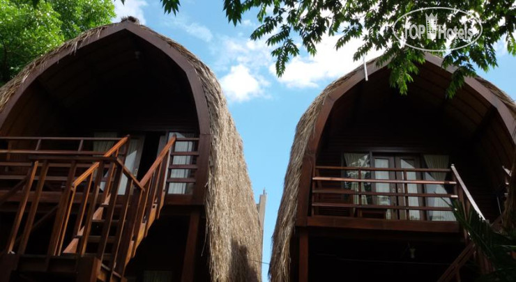 New photos from tourists Lievera Bungalow 1*