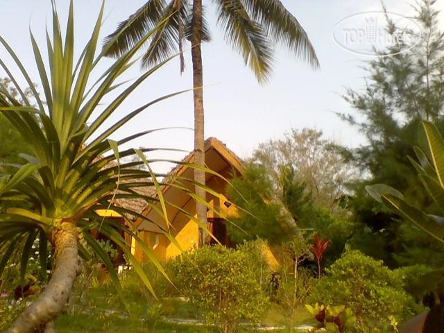 New photos from tourists Bareng Bareng Bungalows 1*