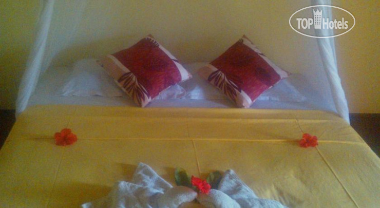 New photos from tourists Tropicana Bungalows 1*