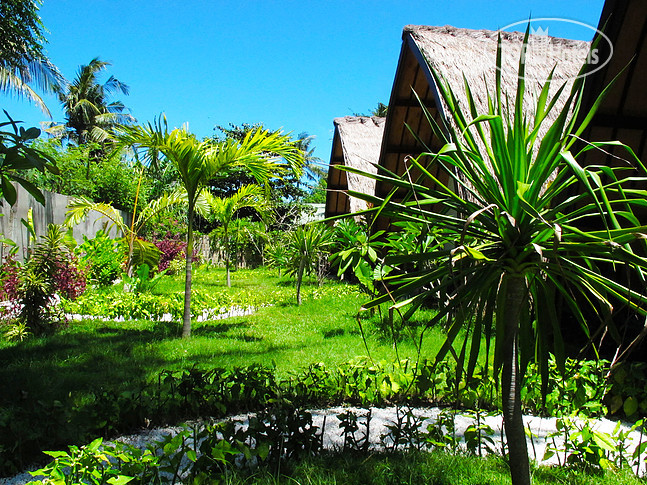 New photos from tourists Diversia Diving Club & Bungalows 4*