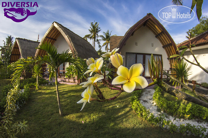Hotelier's photos Diversia Diving Club & Bungalows 4*