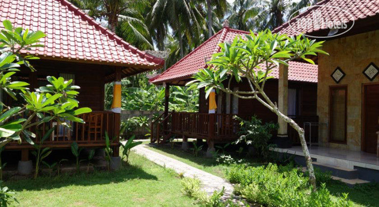New photos from tourists Nyoman Guesthouse