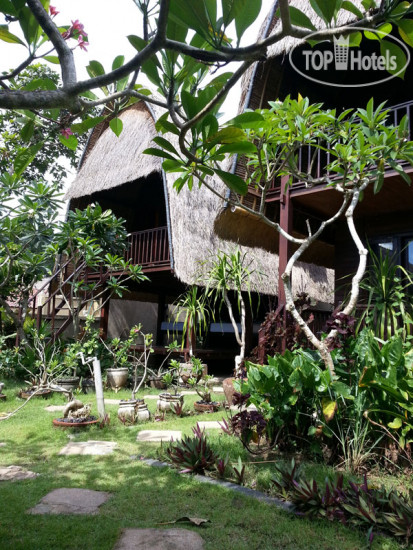 Hotelier's photos Adi Bungalow 3*