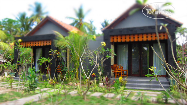 Photos D&B Bungalow 