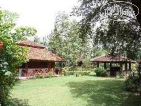 New photos from tourists Satwa Elephant Eco Lodge 2*