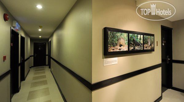 Photos KK Suites Hotel