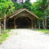 Photos Borneo Tropical Rainforest