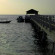 Фото Tioman Paya Resort