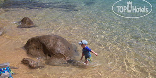 New photos from tourists Panuba Inn Resort 3*