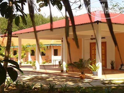 New photos from tourists Rain Forest Resort 2*