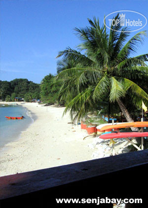 New photos from tourists Senja Bay Resort 3*