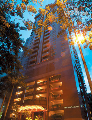 Фото Maple Suite