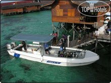 New photos from tourists Sipadan-Kapalai Island Resort 4*