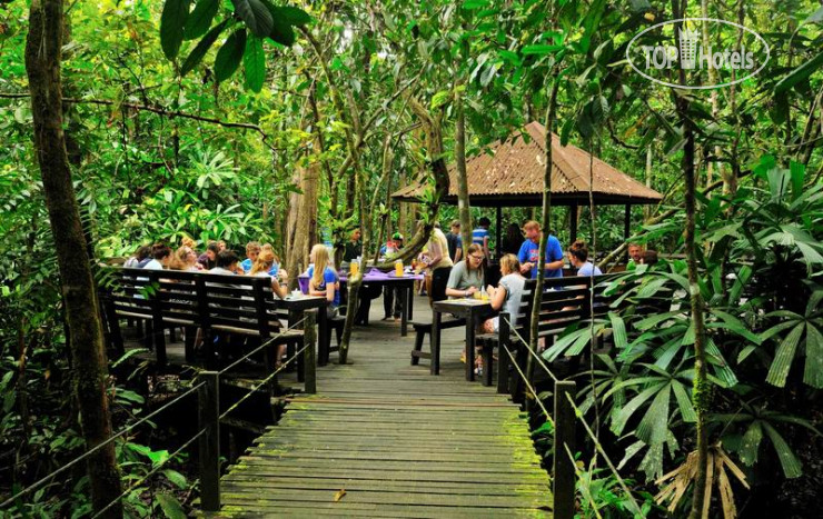 New photos from tourists Abai Jungle Lodge